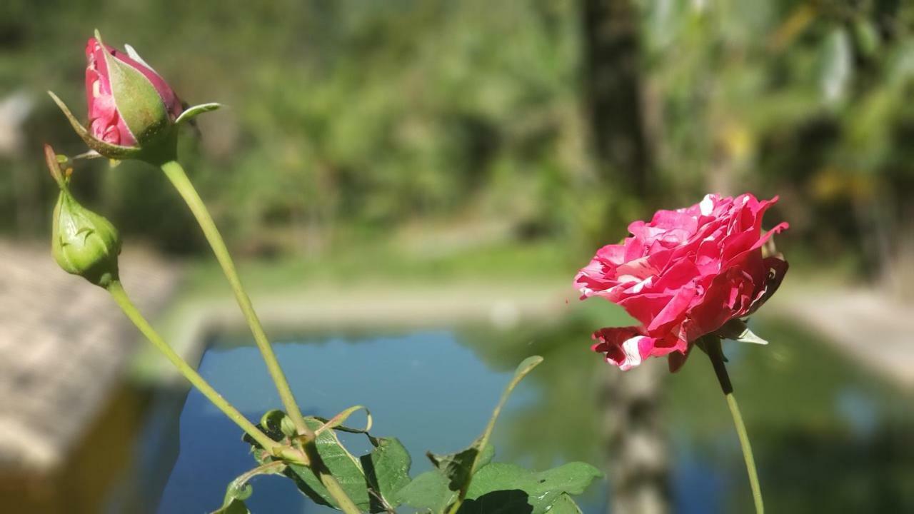 Recanto Luamar Pousada Sana Bagian luar foto