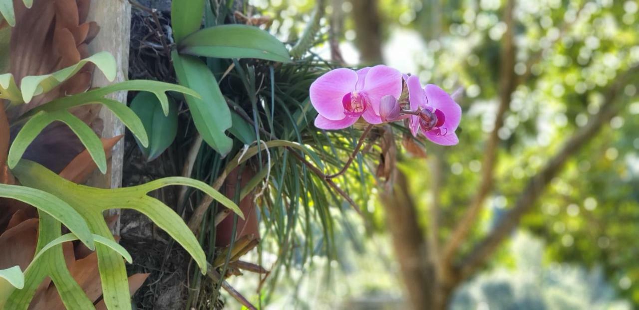 Recanto Luamar Pousada Sana Bagian luar foto