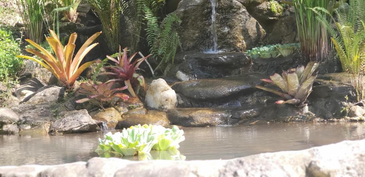 Recanto Luamar Pousada Sana Bagian luar foto